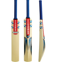 Gray Nicolls Colossus Beach Cricket Bat