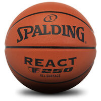 Spalding TF 250 React Indoor/Outdoor Basketball