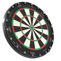 Aspar Professional Dartboard