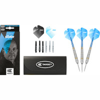 Phil Taylor Brass Dart Set