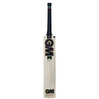 Gunn and Moore Hypa 909 Cricket Bat