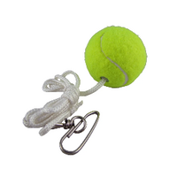 Regent Spin Tennis Spare Ball