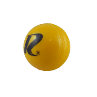 Regent PVC Cricket Ball