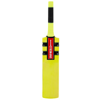 Gray Nicolls Cloud Catcher Bat