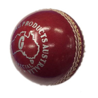 Gabba Ball Special Cricket Ball